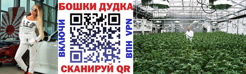 Бошки марихуана ГИДРОПОН  Купить закладки  Чайковский 